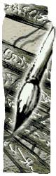 ���l